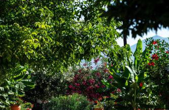 Villa Kamelia - Photo 40