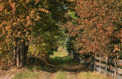 Uroczysko Teremiski - Foto 22