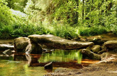 Holiday Home in Huelgoat near Monts d'Arrée - Foto 29