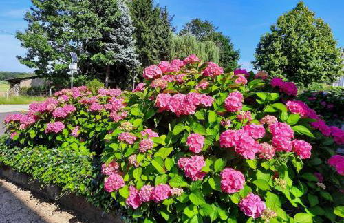 Ferienwohnung Kirschenknupp - Foto 4