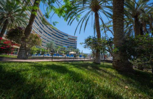 Seagulls melody C-209 - Foto 23