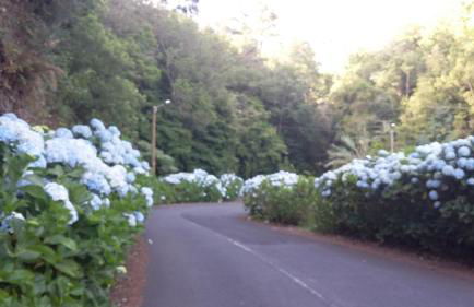 Casa Shalom - Foto 33