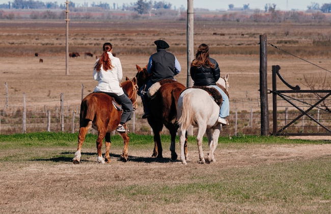 La Santina Posada & Experiencia de Campo - Foto 18