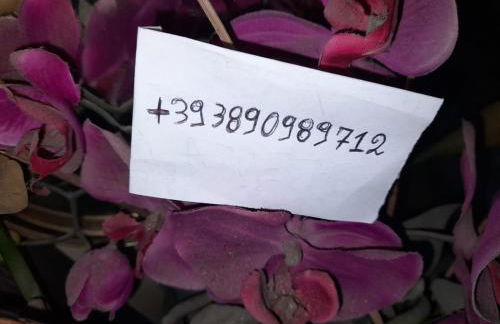 Casa Salento - Foto 3