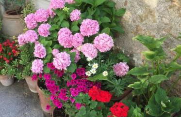 Zauber im Turm - in einem der schönsten Dörfer - Foto 24