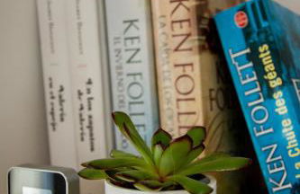 Apartamento panorámico - Foto 7