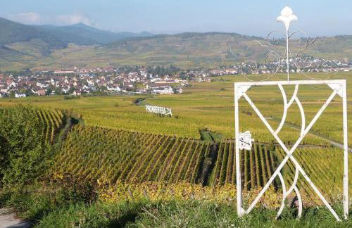 Chez Delphine - Foto 1