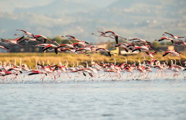 Ecosuite Terra Villa Margherita Crespino - Foto 18