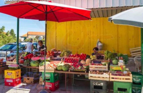 Apartment Salvia - Photo 13