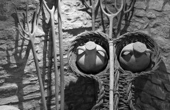 Casa Dominica - Foto 14