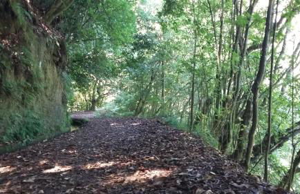 Casa Shalom - Foto 24