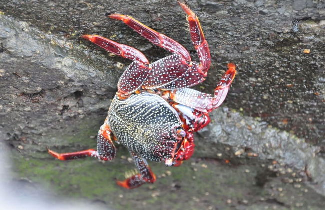 Casa Mar y Sol aan Zee - Foto 8