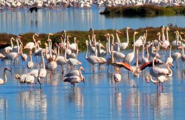 Ferienwohnung mit Privat-Pool - Foto 32