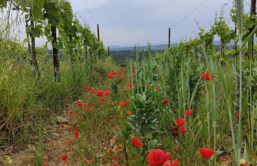 Casa Elisabetta - Foto 57