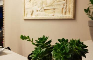 Secreta Vista - Foto 58