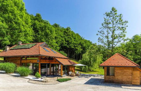 Cozy Home In Vitesinec With Sauna - Foto 12