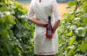 La Grange d' Angel - Foto 15