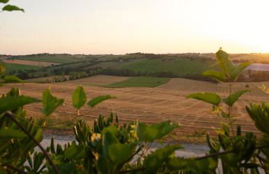 Poggio Antico - Suites and Breakfast - Foto 36