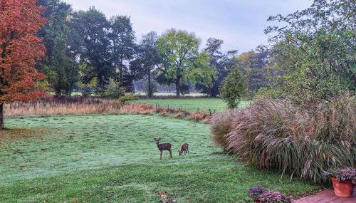 Haus Donata - Foto 3