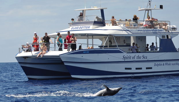 Spirit of the Sea cruise - Photo 4