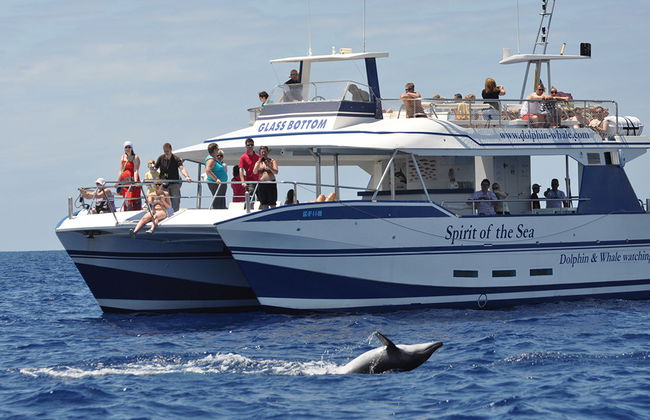 Spirit of the Sea cruise - Photo 4