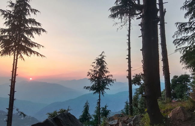 Eva Cabins - Photo 18