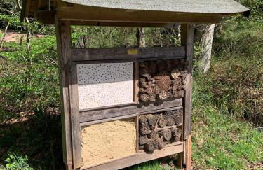 FeWo Sulzbachtal, Nähe Europa-Park, Rulantica, Schwarzwald, Feldberg - Foto 66