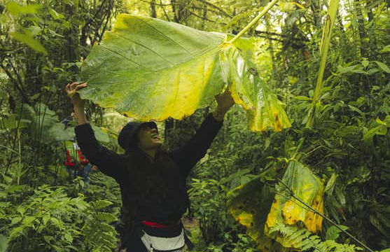 Escursione alla cascata Chorro de las Campanas - Foto 12