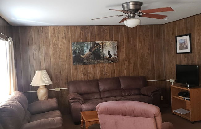 lazy bear cabins - Foto 38