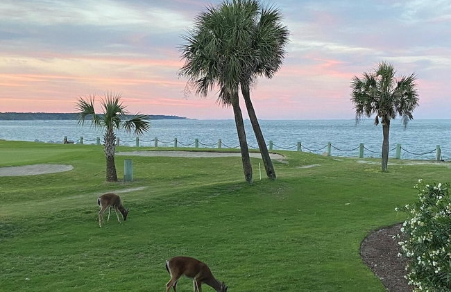 737 North Hampton - Foto 32