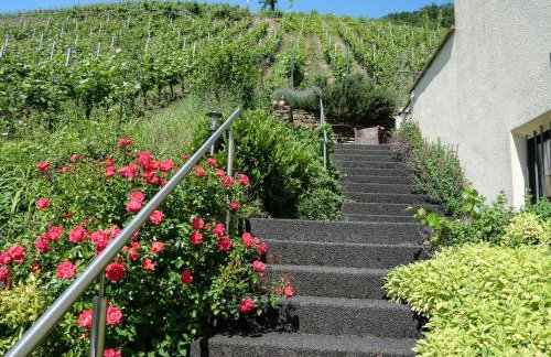 Weingut Rebenhof - Foto 15