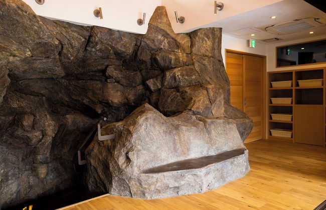 THE SENSE FUJI - Foto 37