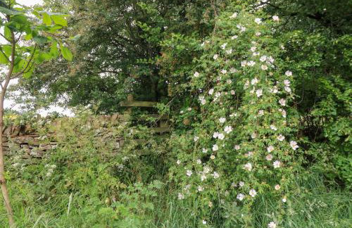 Pudding Hill Barn Cottage - Foto 46