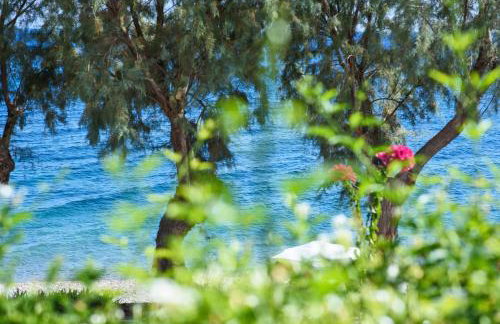 Aliki Studios - Foto 28