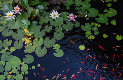 Casamia Juliette - Foto 34