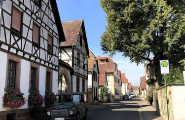 Schönes Studio mit Küche, frisch renoviert - Foto 6