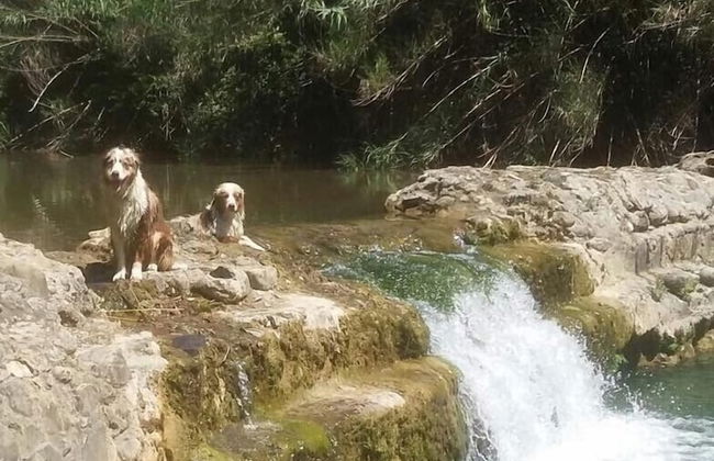 Hotel Campo Di Carlo - Foto 41