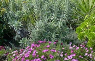 Haus mit Pool im Olivenhain - Foto 28