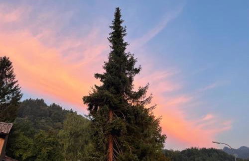 Ferienwohnung Kranzhornblick - Alpenmagie Suites - Foto 24