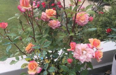 Villa Markos - Foto 7