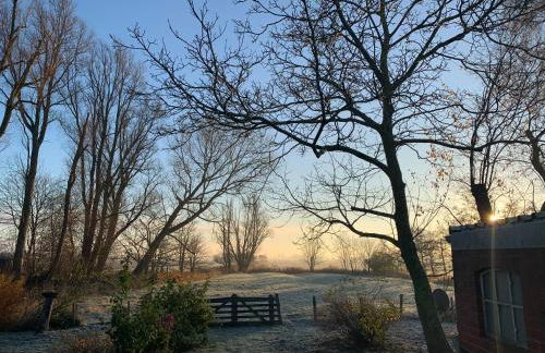 Kruemelkate - Foto 16