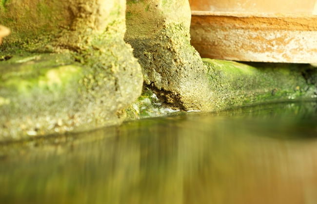 Casa dos Arrábidos - Foto 66