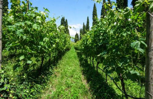 Villa Betteloni Valpolicella Suites - Foto 19