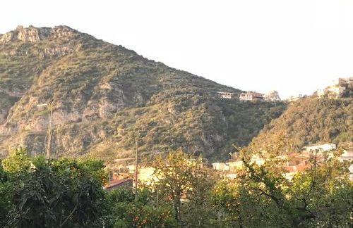 Metahome Sorrento - Foto 71