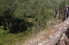 Entrada Río Lobos - Photo 60