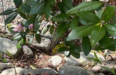 Spean Bridge Chalet - Photo 10