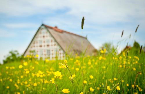 Deichkrönchen Ferienwohnung Altes Land Hamburg - Foto 20