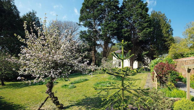 Elm Grove Country House - Foto 4