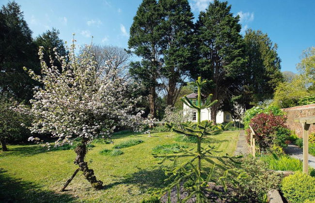 Elm Grove Country House - Foto 4