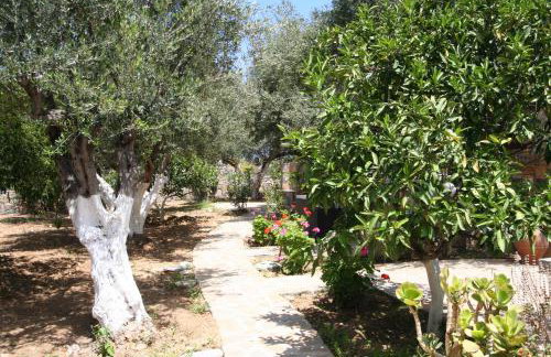 Villa Castello - Foto 21